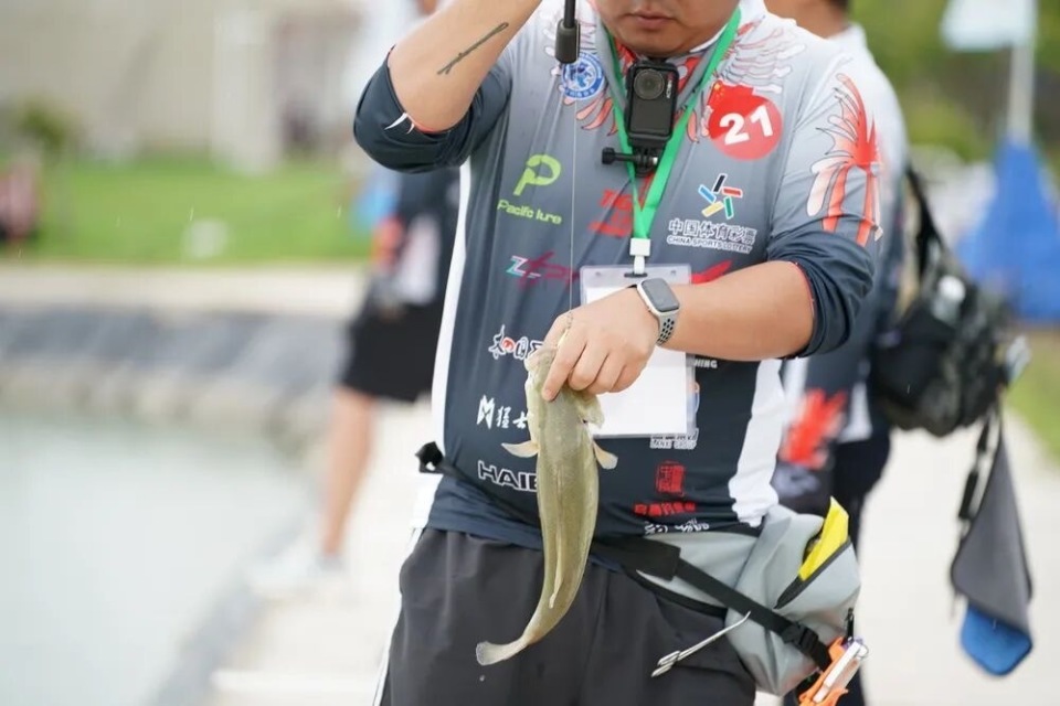 因为河南钓, 比赛均为路, 斗智斗勇