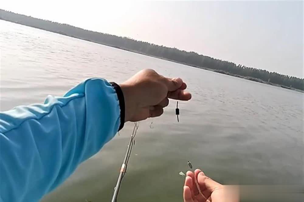 秋季钓大鱼 秋季钓大鱼