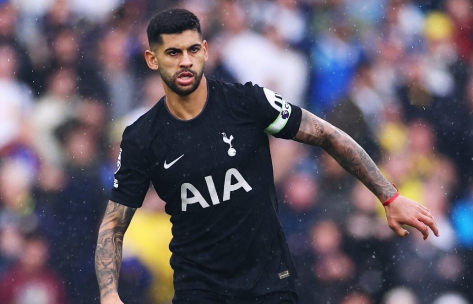 RI, 硬度和侵略 RI, 硬度和侵略